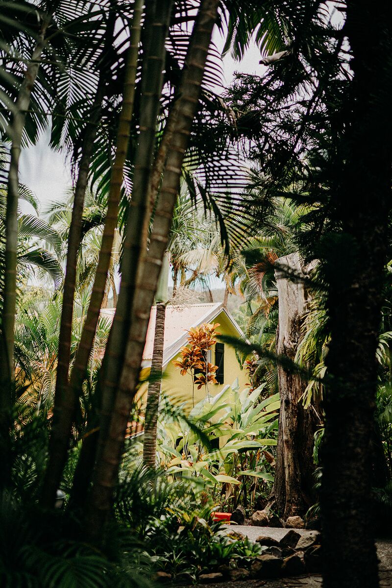 Vue d'une villa à travers la végétation du parc naturel au Caraïb'Bay Hôtel