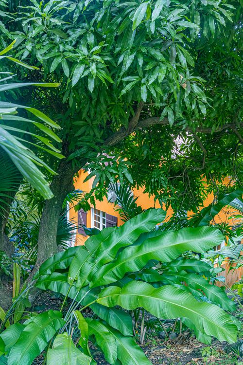 Vue d'un bungalow du Caraib'Bay Hôtel au milieu de la végétation