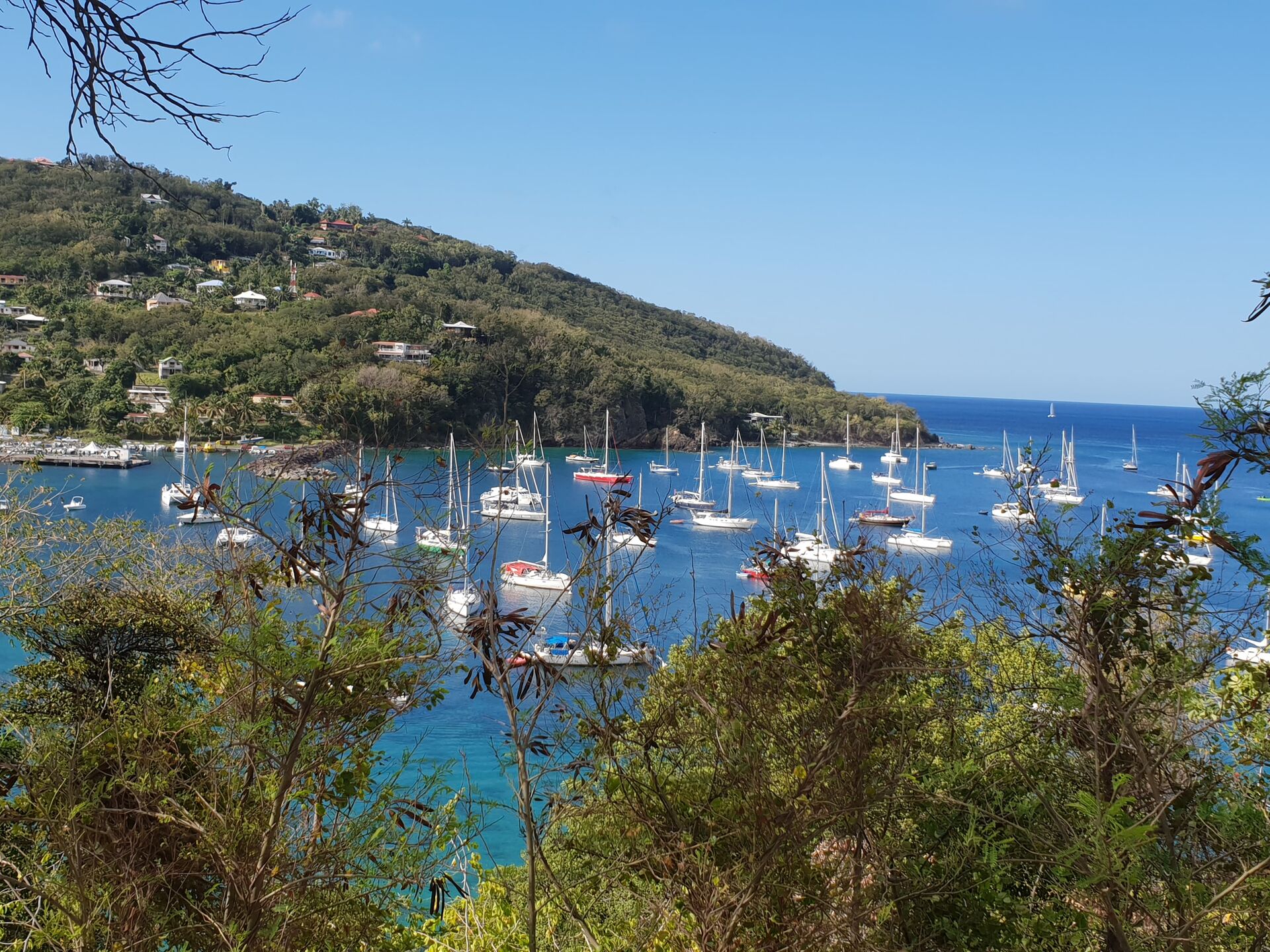 Vue de la baie de Deshaies en Guadeloupe